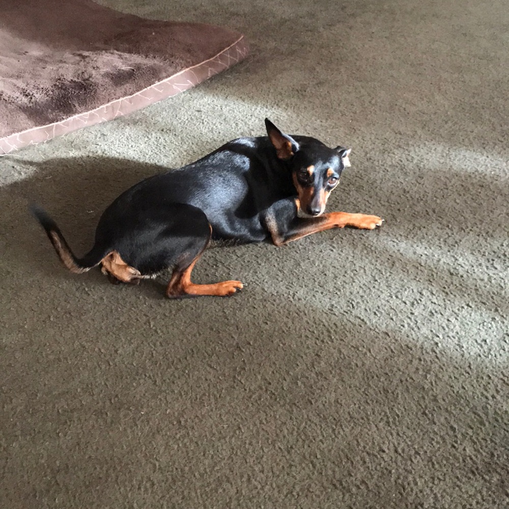 Meet your Posher, Lori